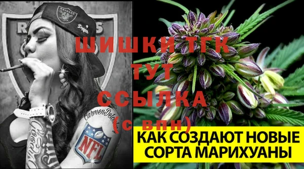 таблы Богородск