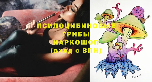 амф Богданович