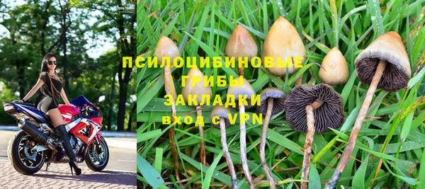 прущий лед Богородицк