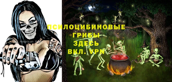 прущий лед Богородицк